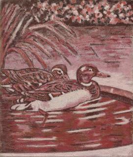 Keith Coventry - Mallards in the Garden (from the series Echoes of Albany)