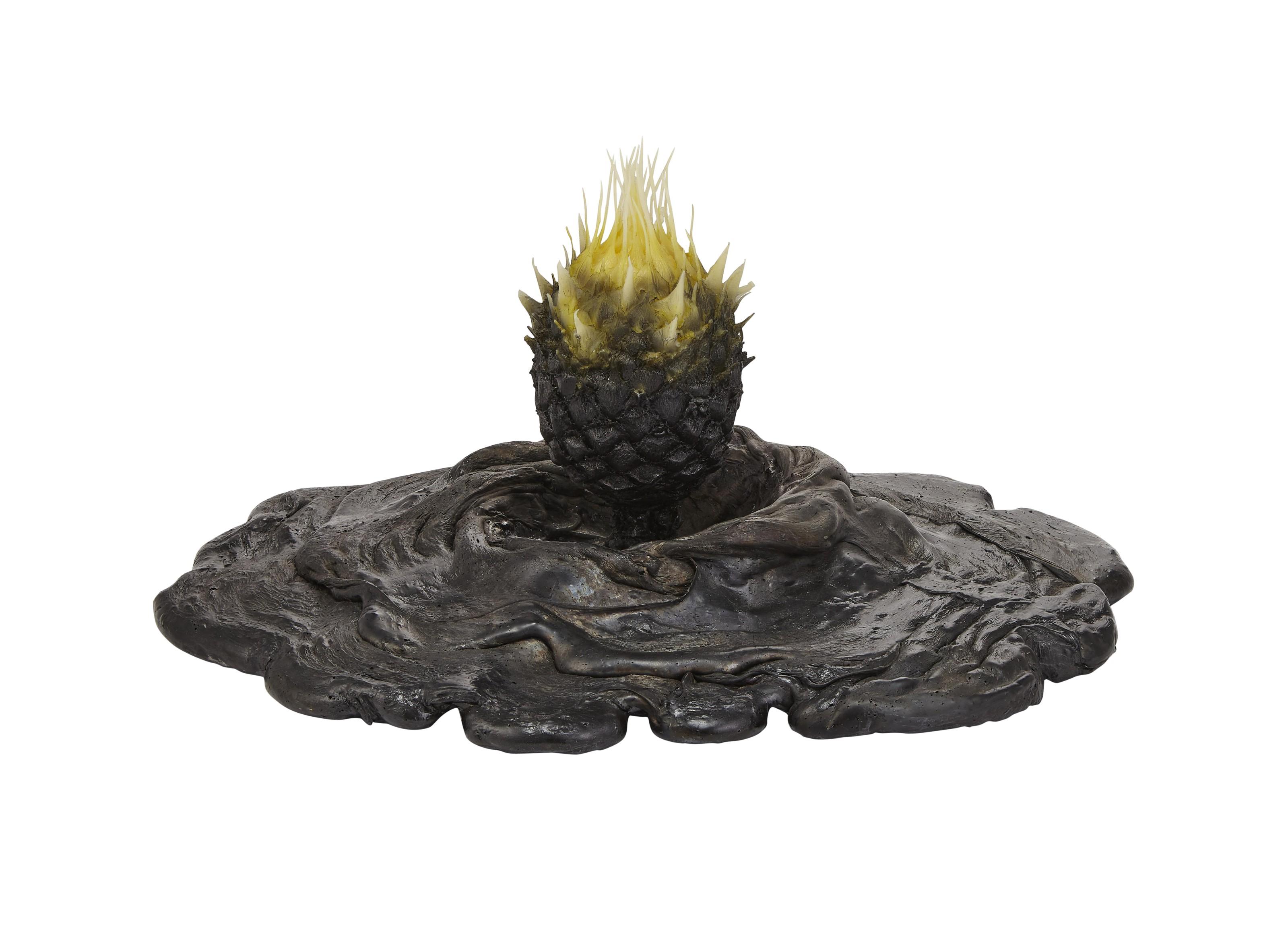 Keith Edmier - Cycas revoluta bulbil