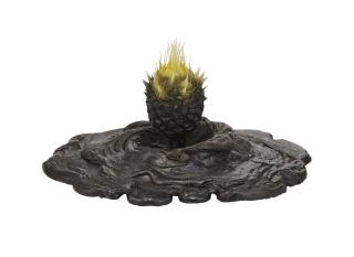 Keith Edmier - Cycas revoluta bulbil