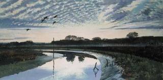 Keith Shackleton - Ducks flying in over a River