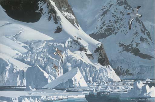 Keith Shackleton - Storm Petrels In Flight