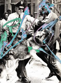 Kelley Walker - A Black Star Press Distribution: Aquafresh plus Crest with Tartar Protection