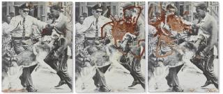 Kelley Walker - Black Star Press; Star Press, Black Press, Star Press Star