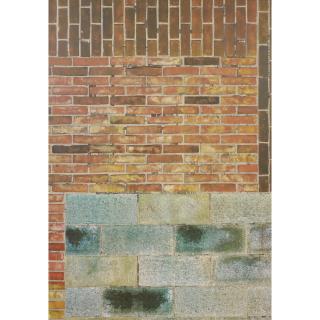 Kelley Walker - Untitled