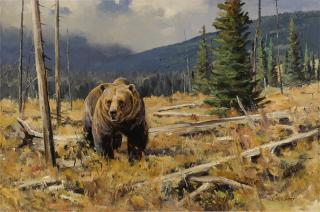 Ken Carlson - Crossing a Windfall