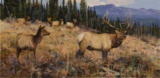 Ken Carlson - Elk In Autumn