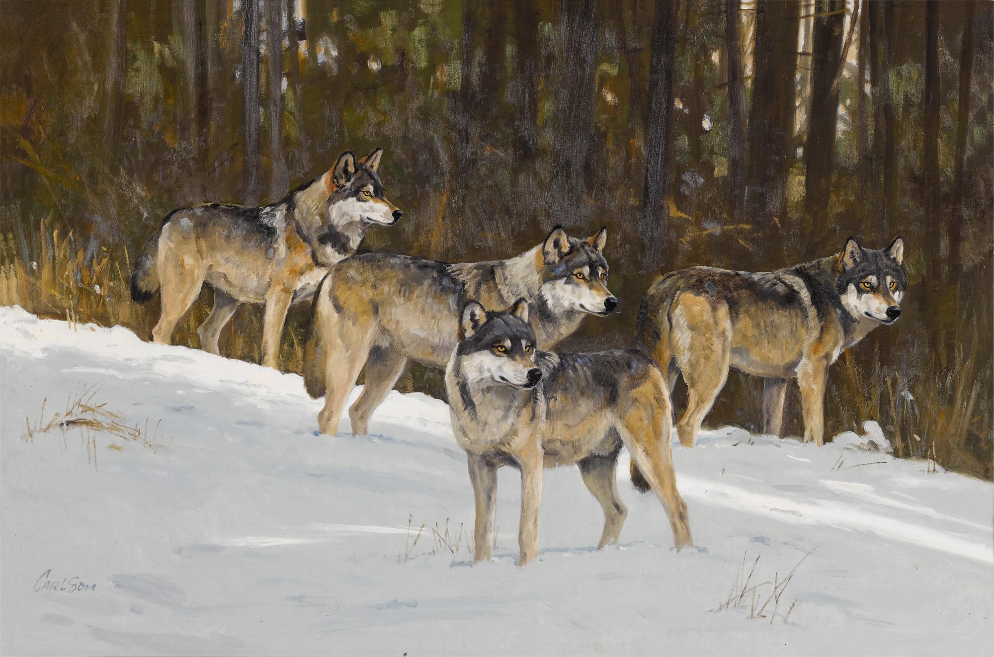 Ken Carlson - Four Wolves in the Snow