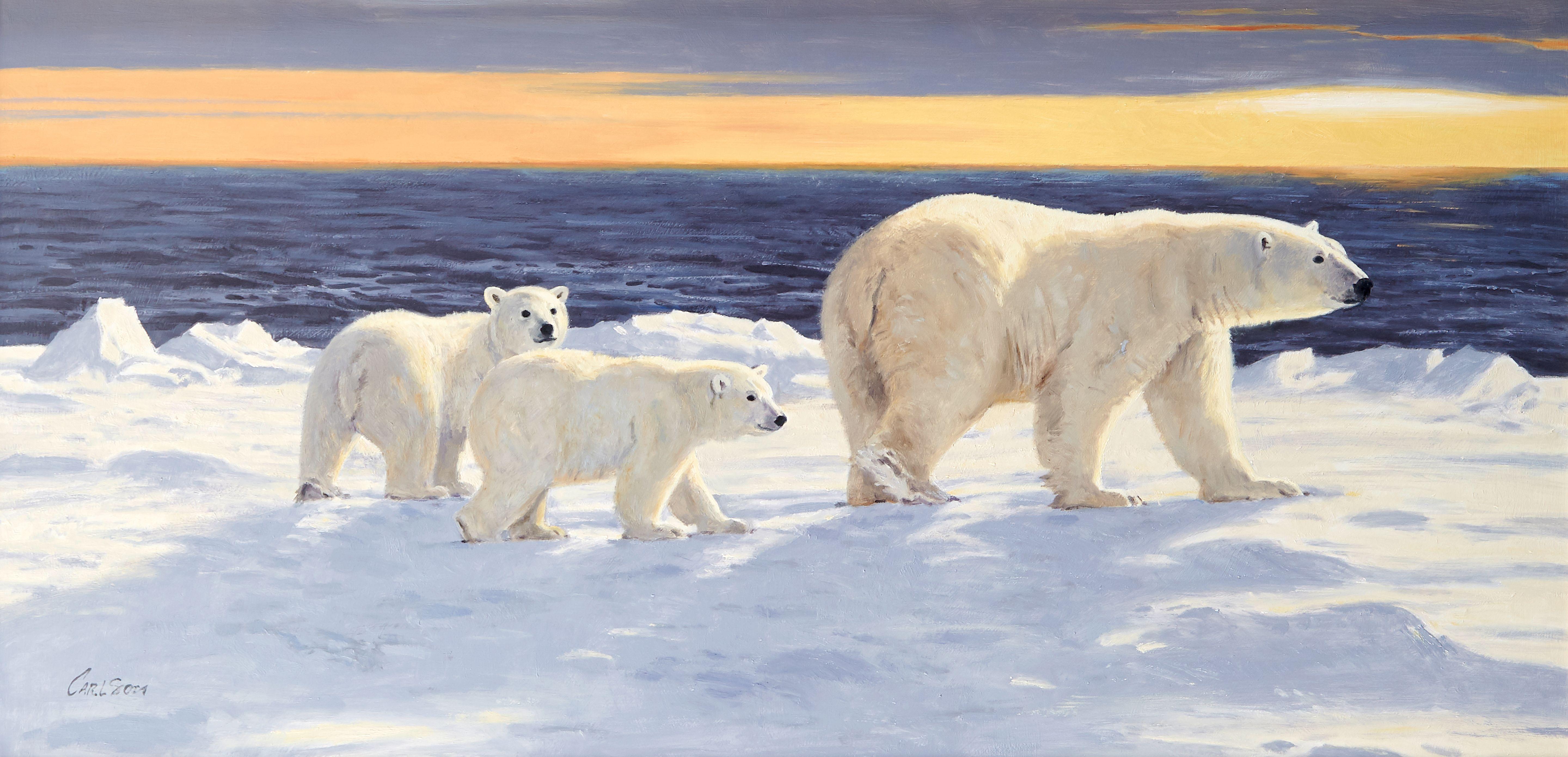 Ken Carlson - Hudson Bay Winter
