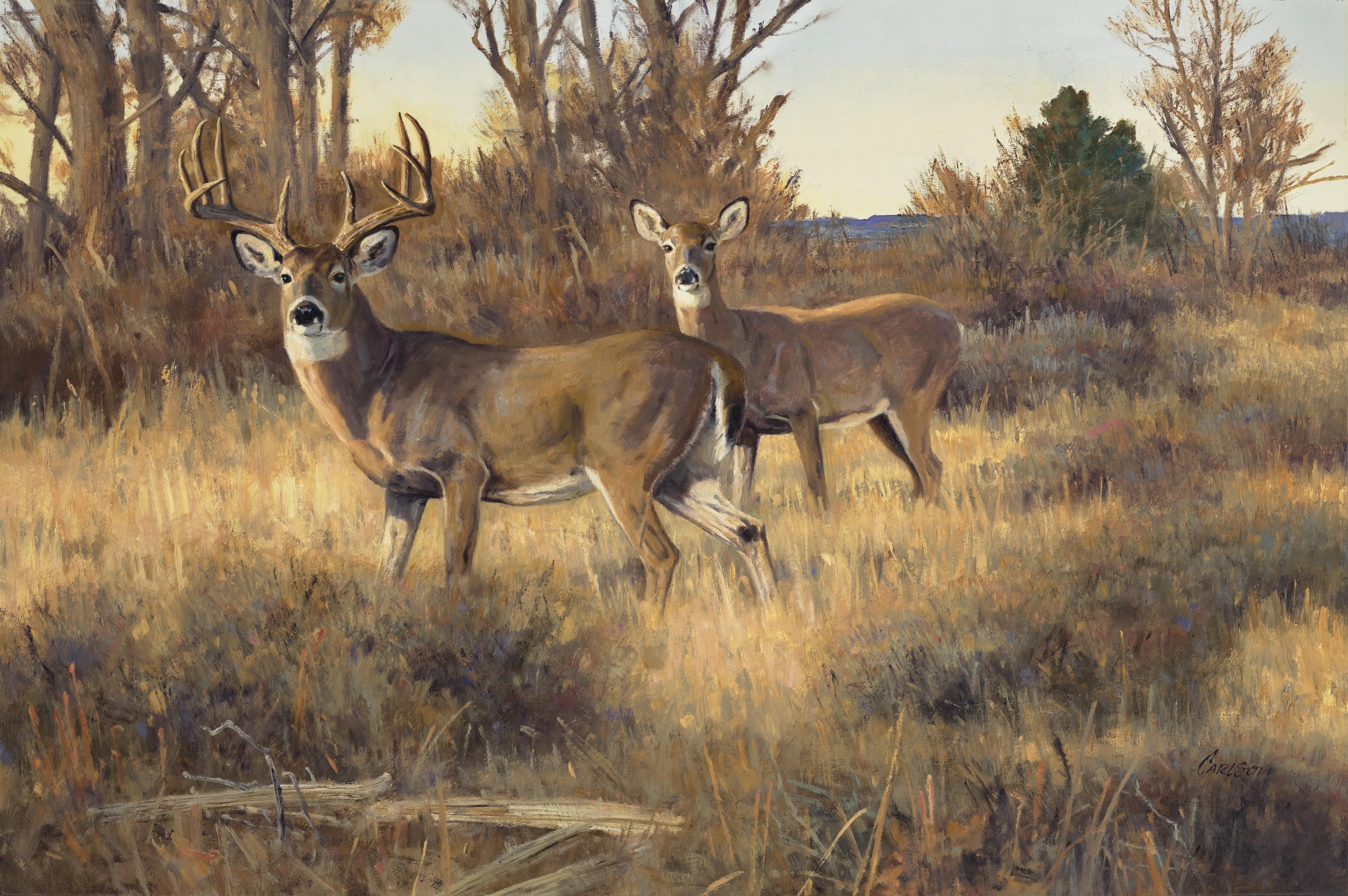 Ken Carlson - Mesa Vista Morning