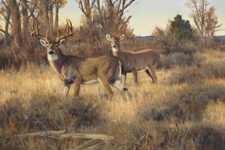 Ken Carlson - Mesa Vista Morning