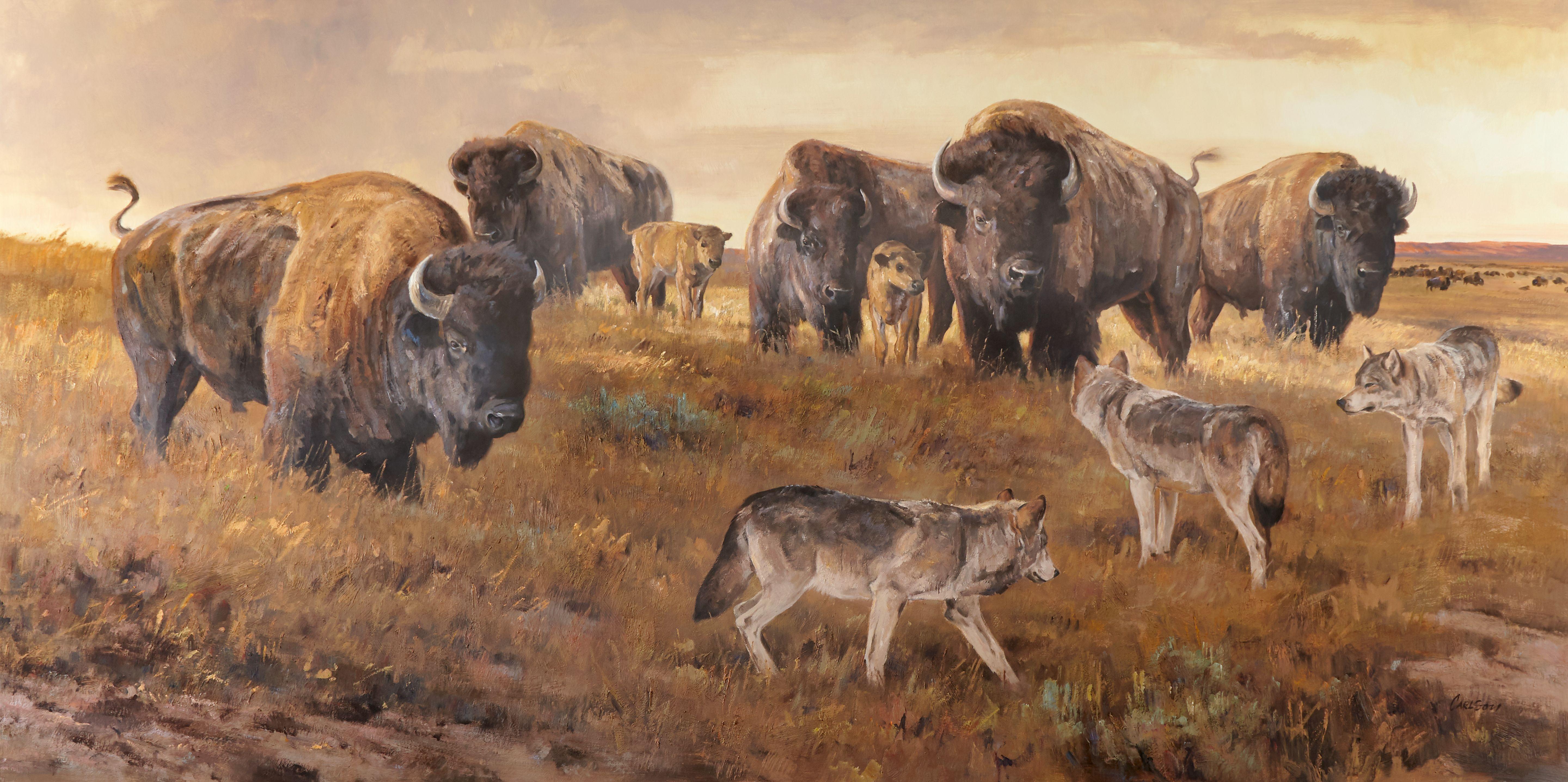 Ken Carlson - Prairie Showdown