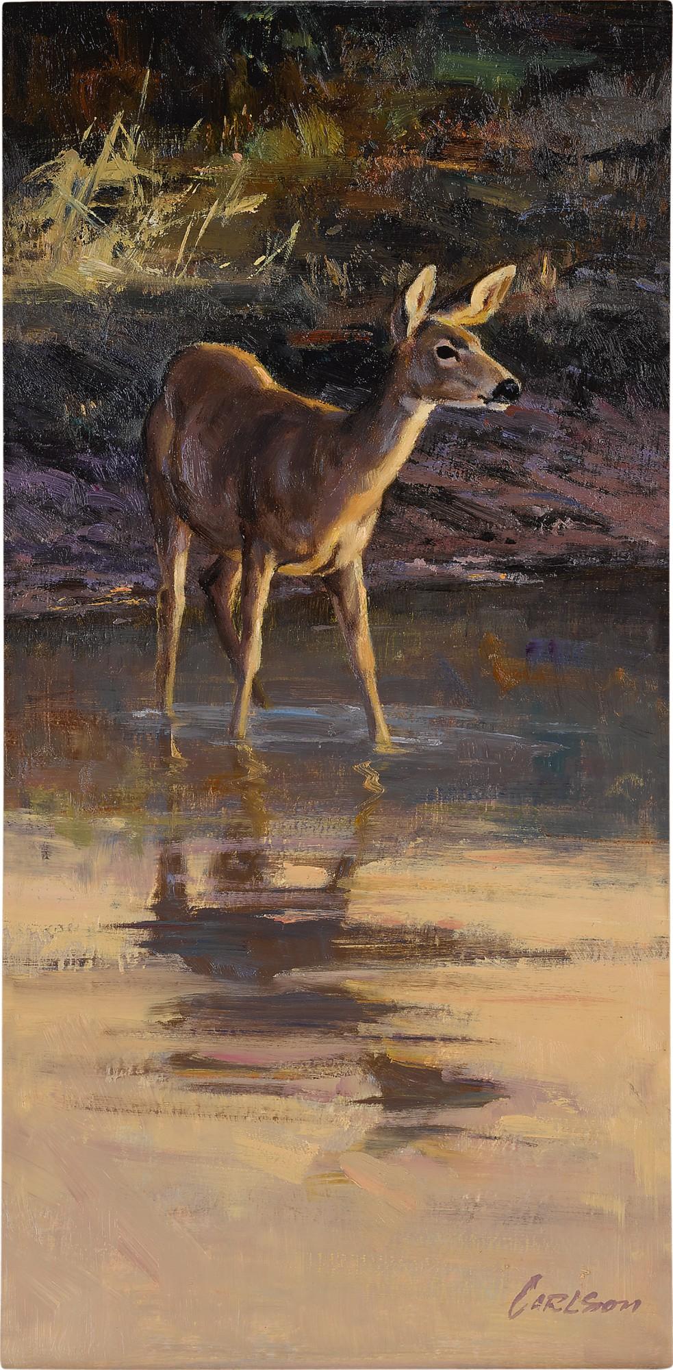 Ken Carlson - Reflection