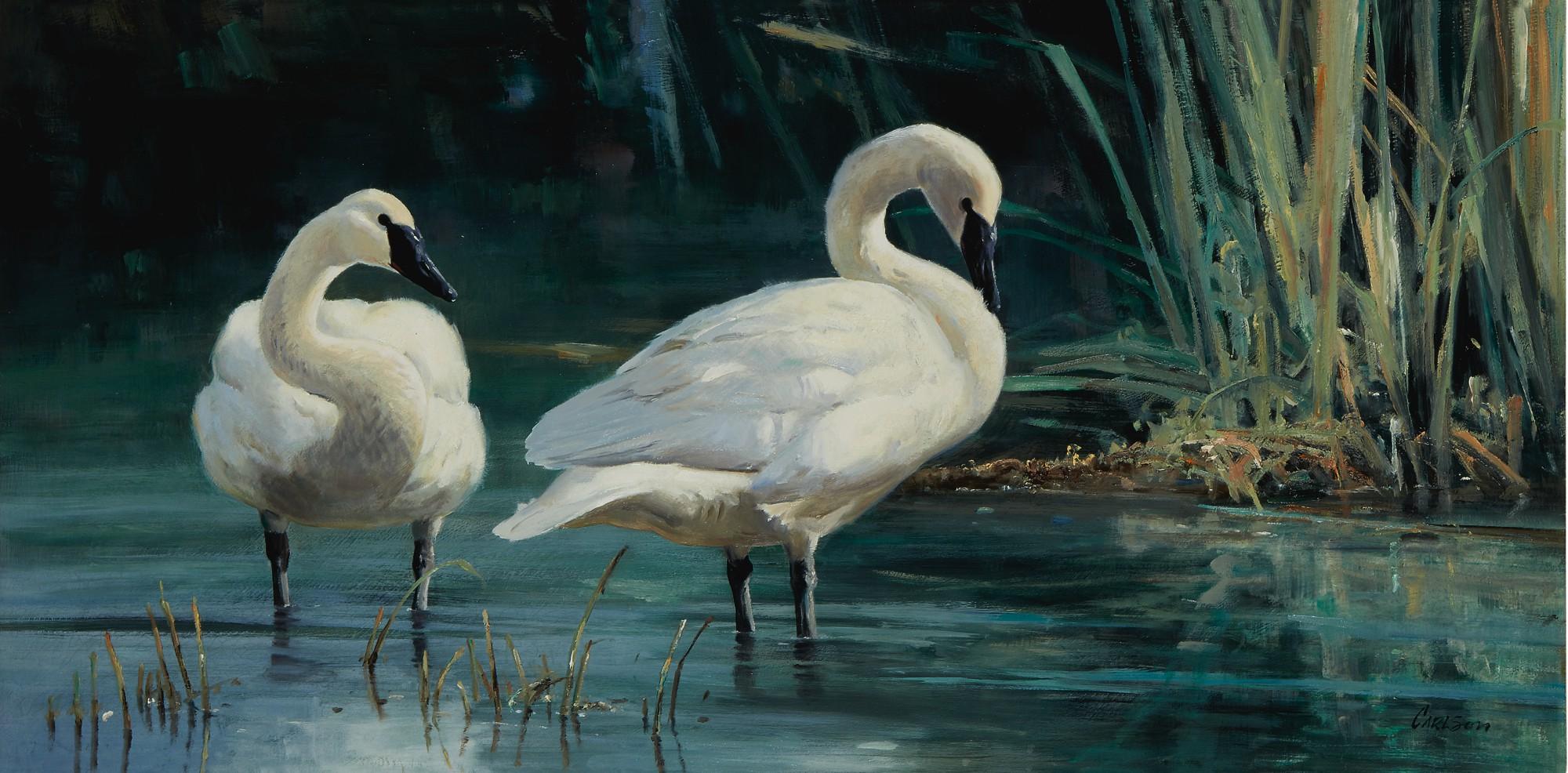 Ken Carlson - Refuge Waters