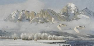 Ken Carlson - Teton Winter (Trumpeters)