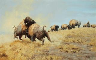 Ken Carlson - The Rivals