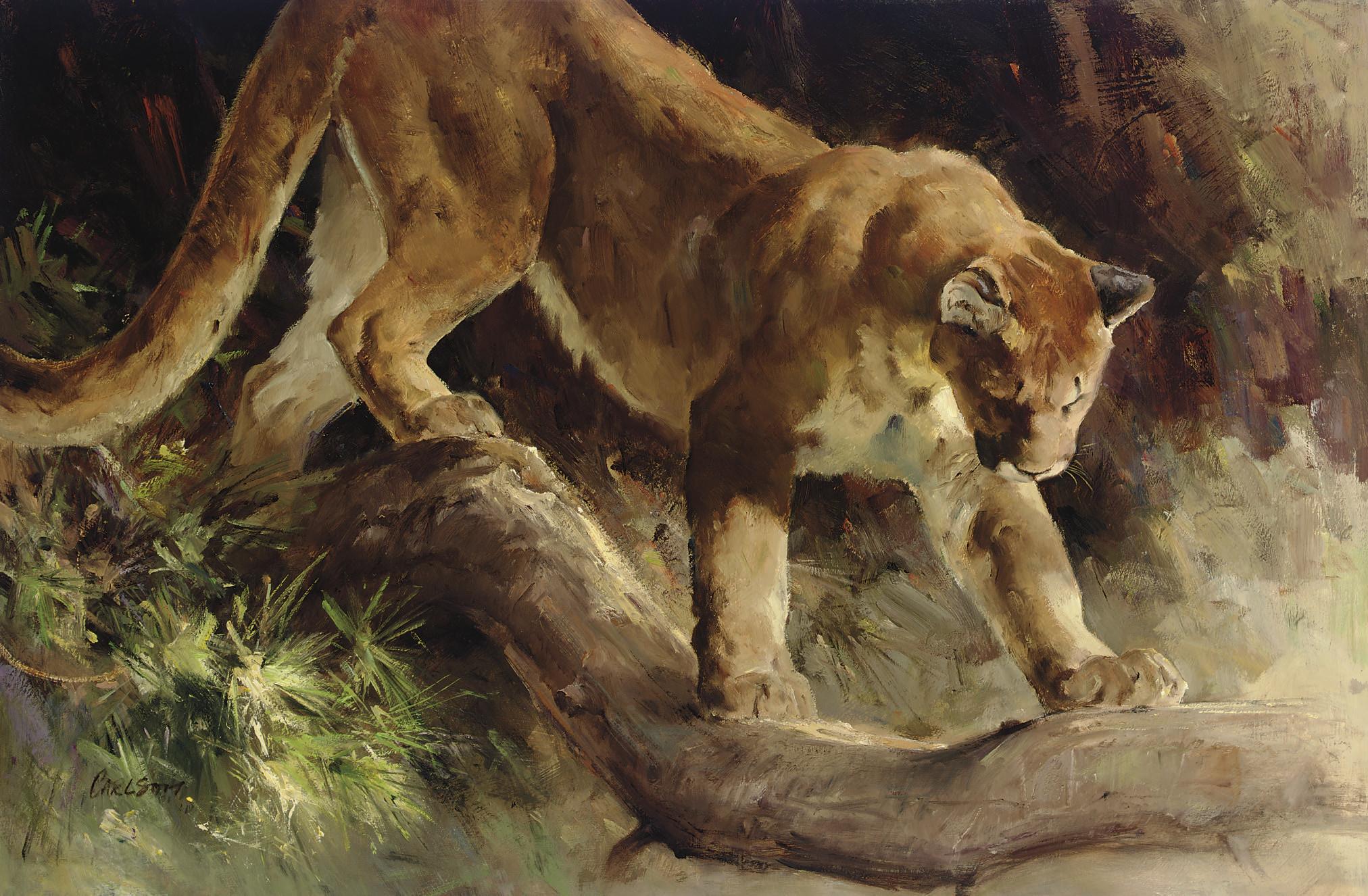 Ken Carlson - Unsuspected presence