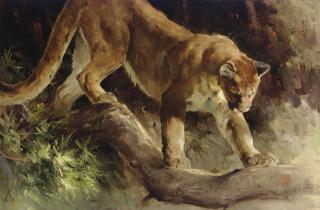 Ken Carlson - Unsuspected presence