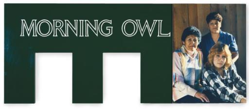 Ken Lum - Morning Owl Family