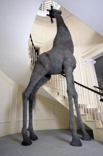 Kendra Haste - Giraffe