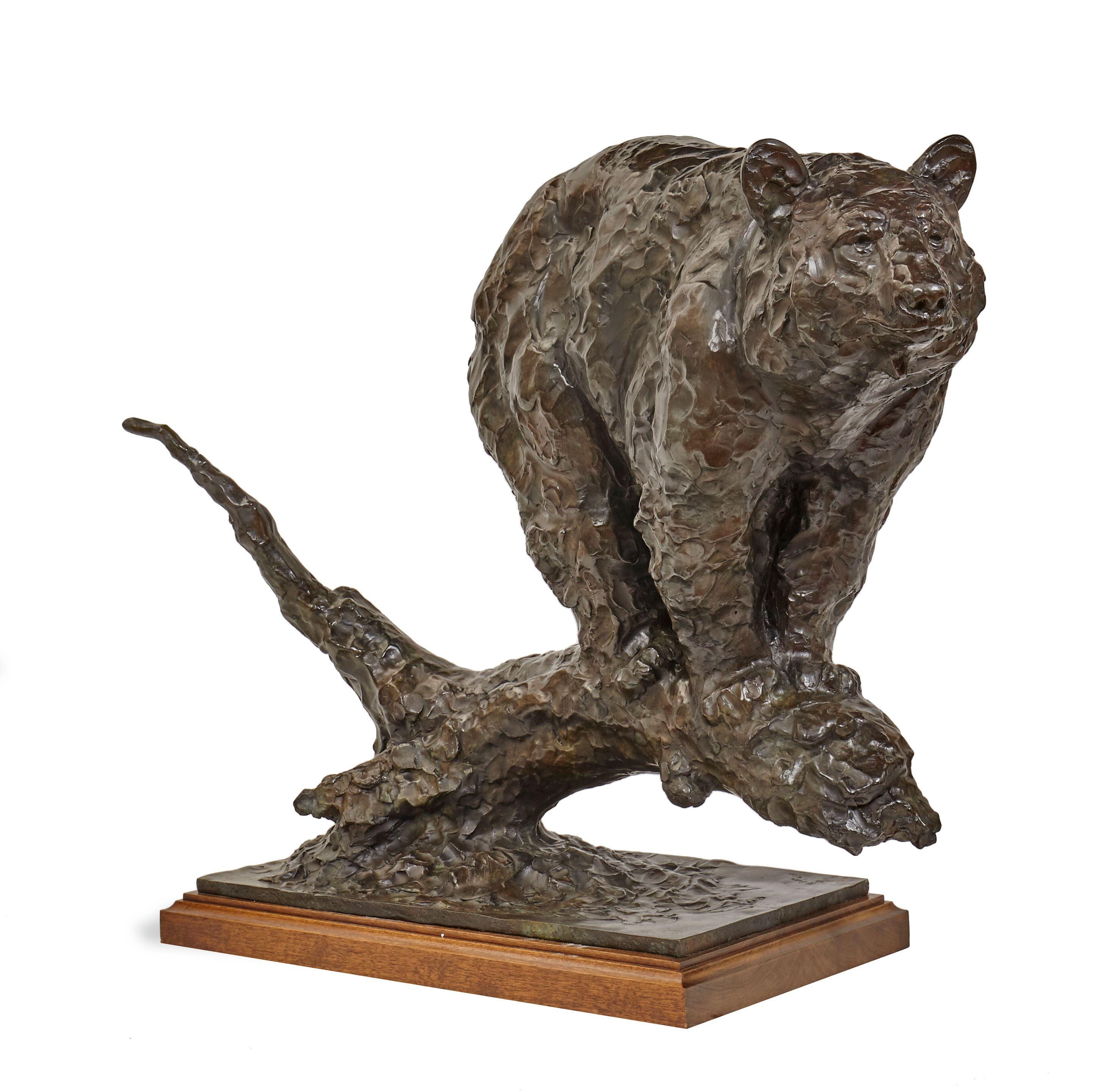 Kenneth Bunn - Vantage Point (Black Bear)