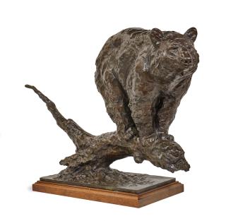 Kenneth Bunn - Vantage Point (Black Bear)