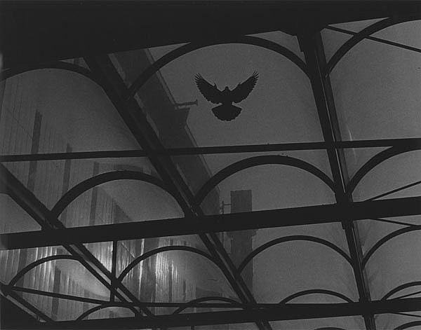 Kenneth Gustavsson - \