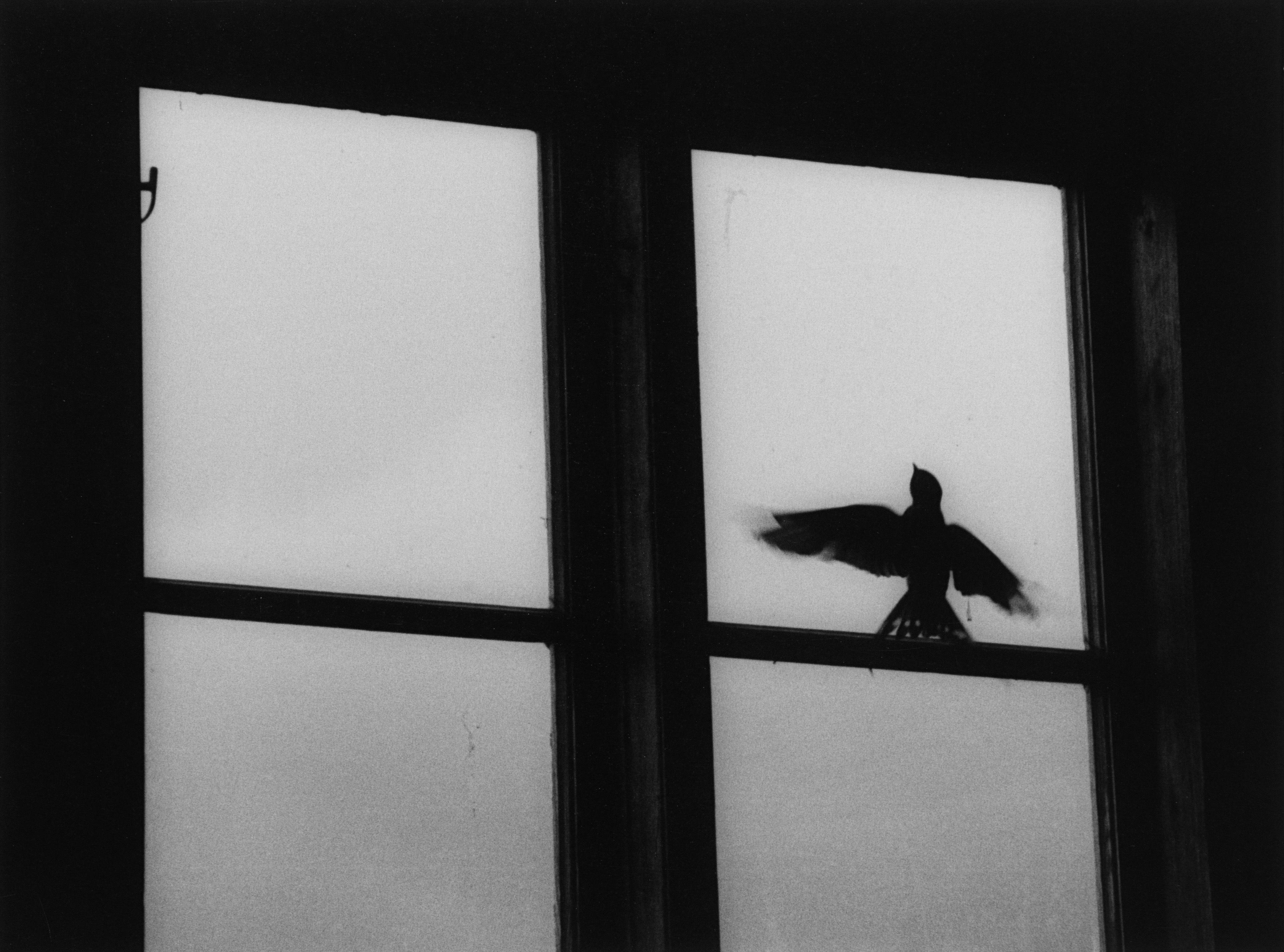 Kenneth Gustavsson - The Magic Bar 1964-1967