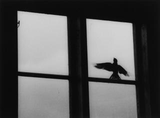 Kenneth Gustavsson - The Magic Bar 1964-1967