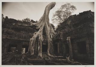 Kenro Izu - Angkor #26, Ta Prohm, Cambodia