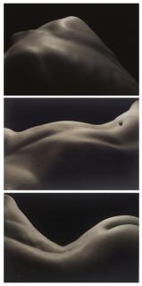 Kenro Izu - Three Still Life Images, 1993-1994