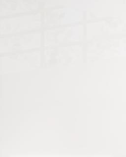 Kevin Appel - Window Picture 4