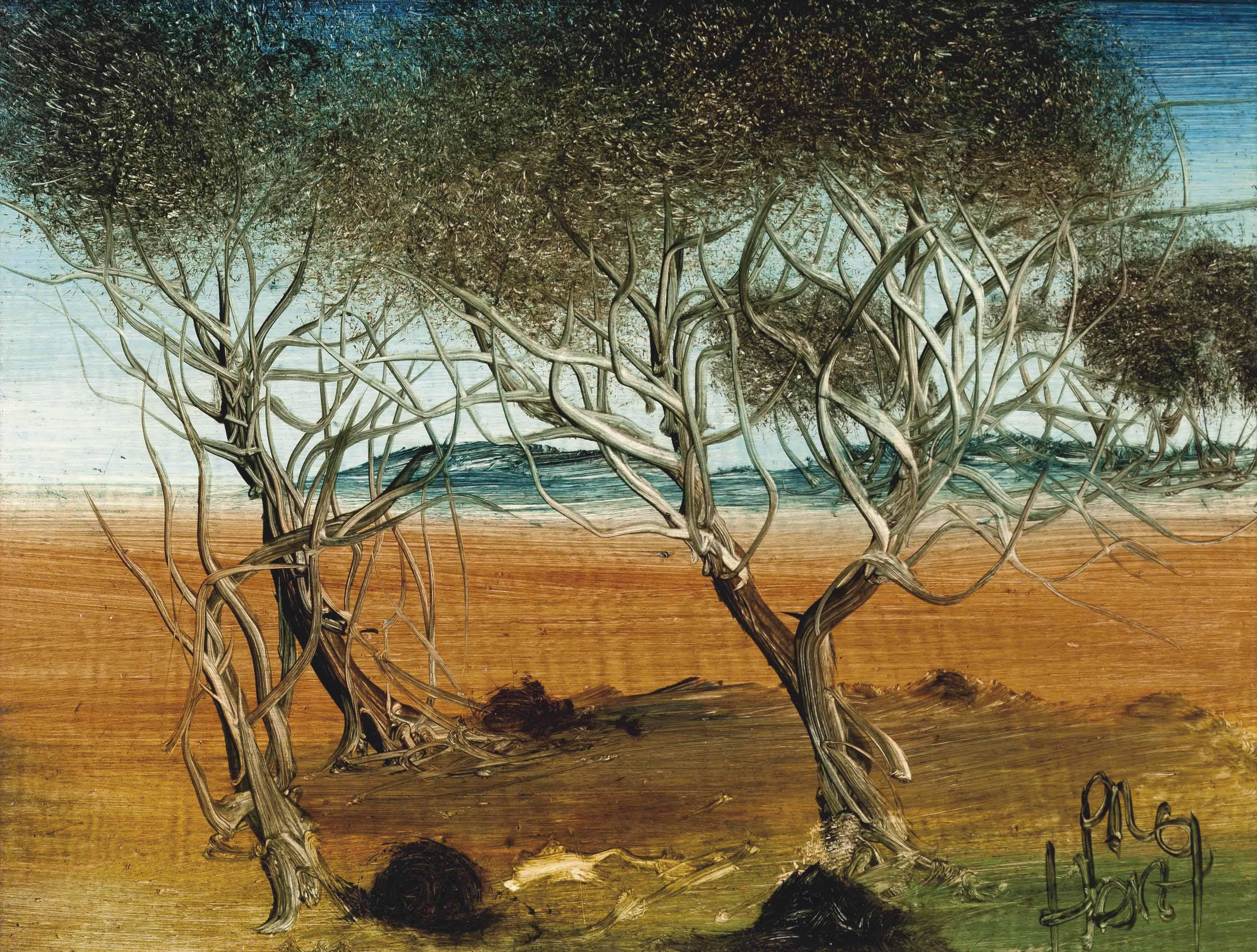 Kevin Charles Hart - Bush Landscape