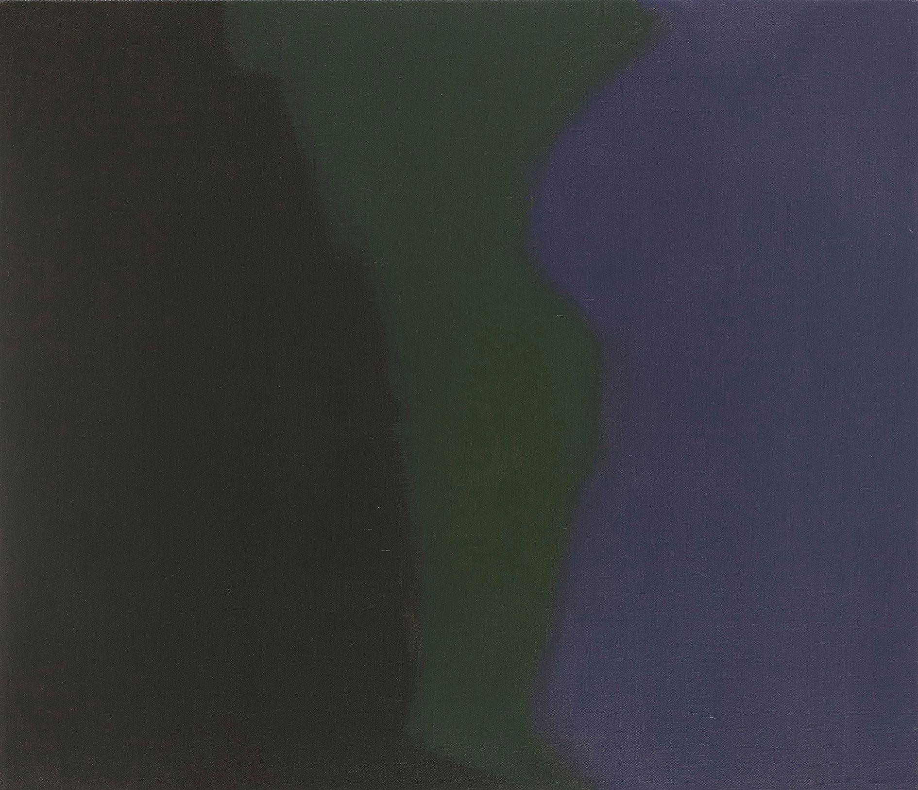 Kevin Lincoln - Mangrove 19, 2003