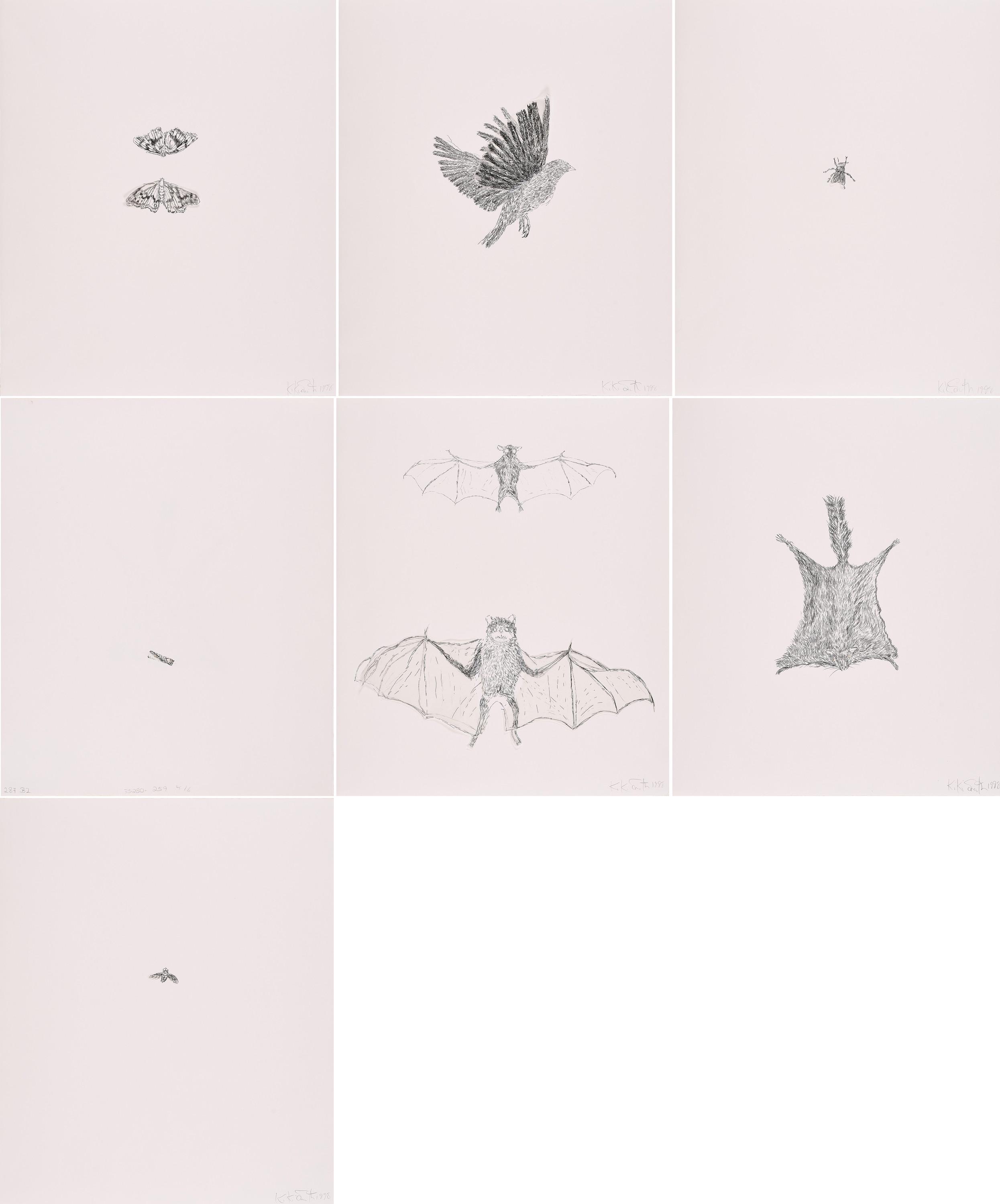 Kiki Smith - bee, squirrel, moth, bird, fly und bat.