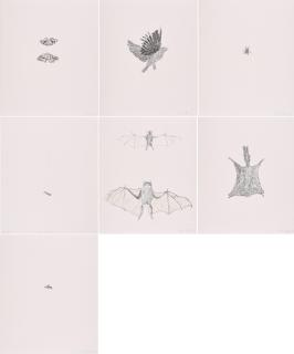Kiki Smith - bee, squirrel, moth, bird, fly und bat.
