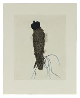 Kiki Smith - Falcon (Weitman 101)