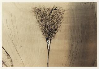 Kiki Smith - Geneviève 2000