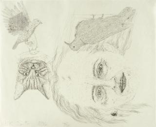 Kiki Smith - Ginzer And The Birds