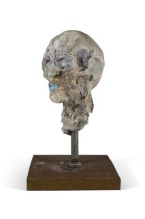 Kiki Smith - Head