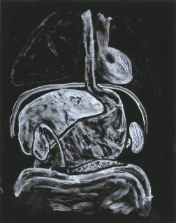 Kiki Smith - Intestine