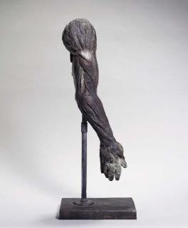 Kiki Smith - Meat Arm