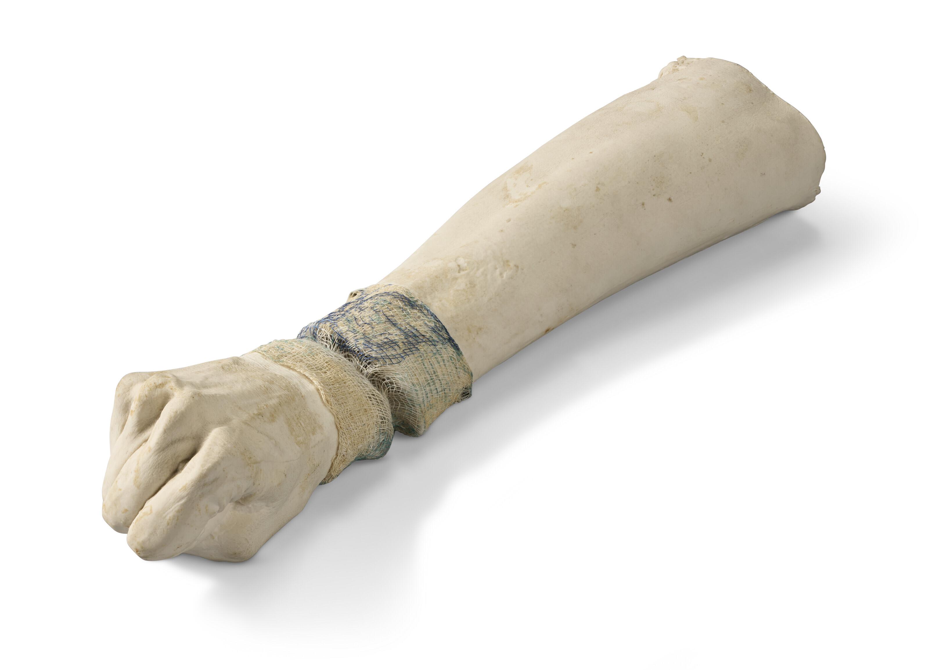 Kiki Smith - Untitled (Arm)