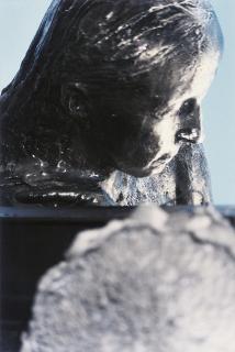 Kiki Smith - Untitled (from Scaffold Body)