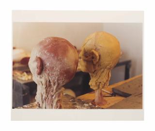 Kiki Smith - Untitled