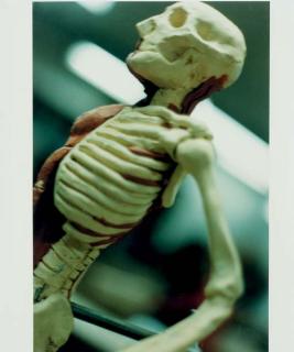 Kiki Smith - Untitled