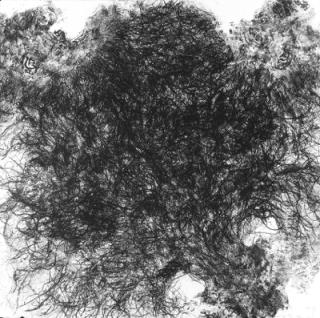 Kiki Smith - Untitled