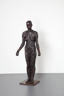 Kiki Smith - Virgin Mary