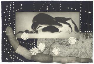 Kiki Smith - Worm (Weitman 64)