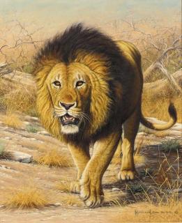 Kim Brooks - Black Maned Lion