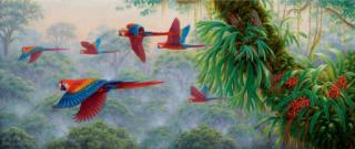 Kim Brooks - Dawn Patrol